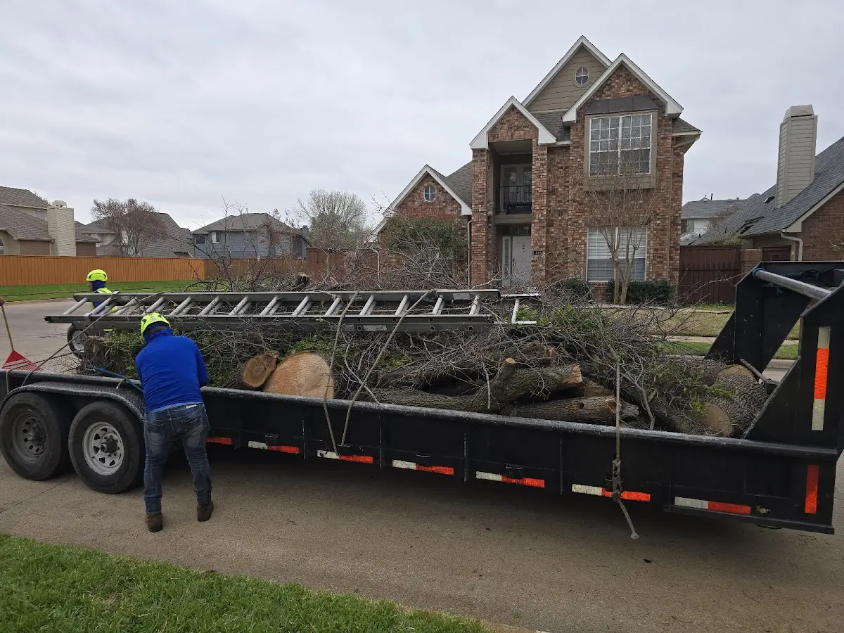 Expert Tree Fertilization with proper safety equipment in Bison